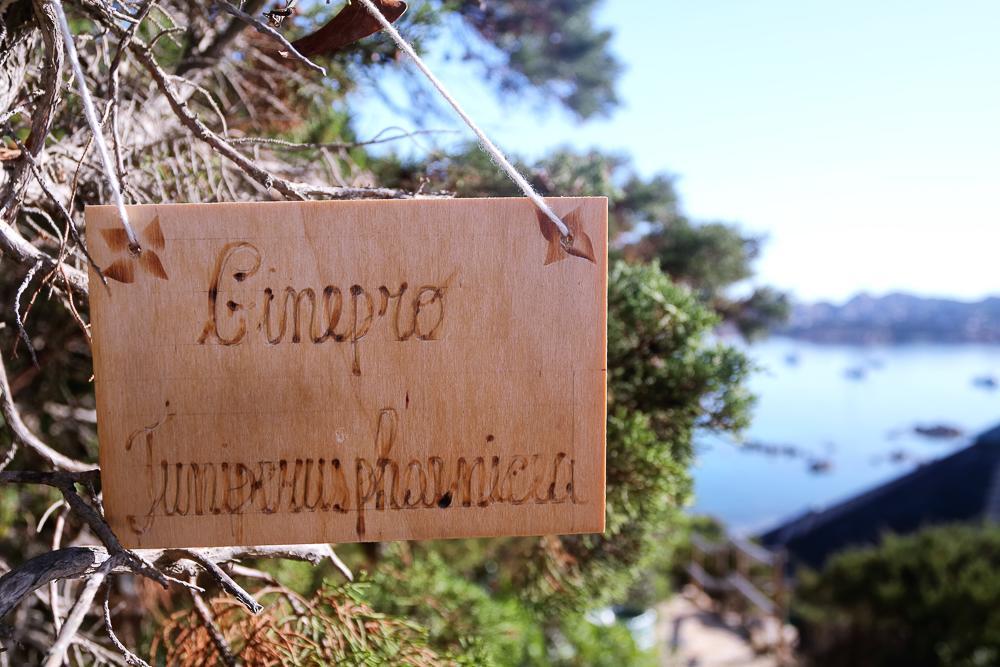 ホテル Touring Club Italiano - La Maddalena エクステリア 写真